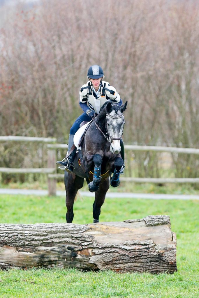 Ray%20of%20Grey%20von%20Sky%20Dancer%20Reiterin%20Carmen%20Bitz.jpg