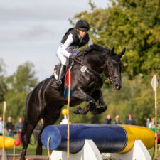 Le Lion d’Angers – Eventing World Breeding Championship 2019
