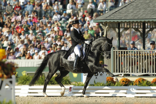 Kentucky – Alltech FEI WEG 2010
