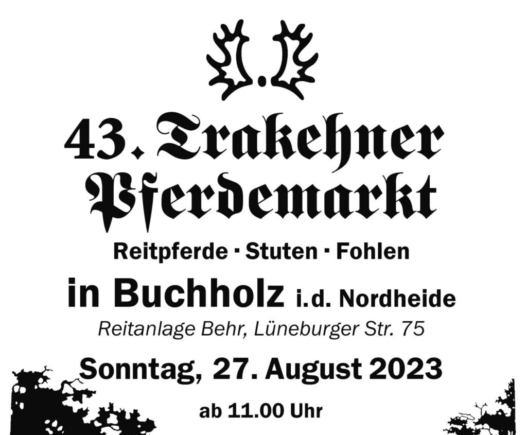 Pferdemarkt Buchholz_2023_K