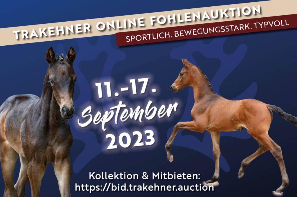 Online_Fohlenauktion_Cover