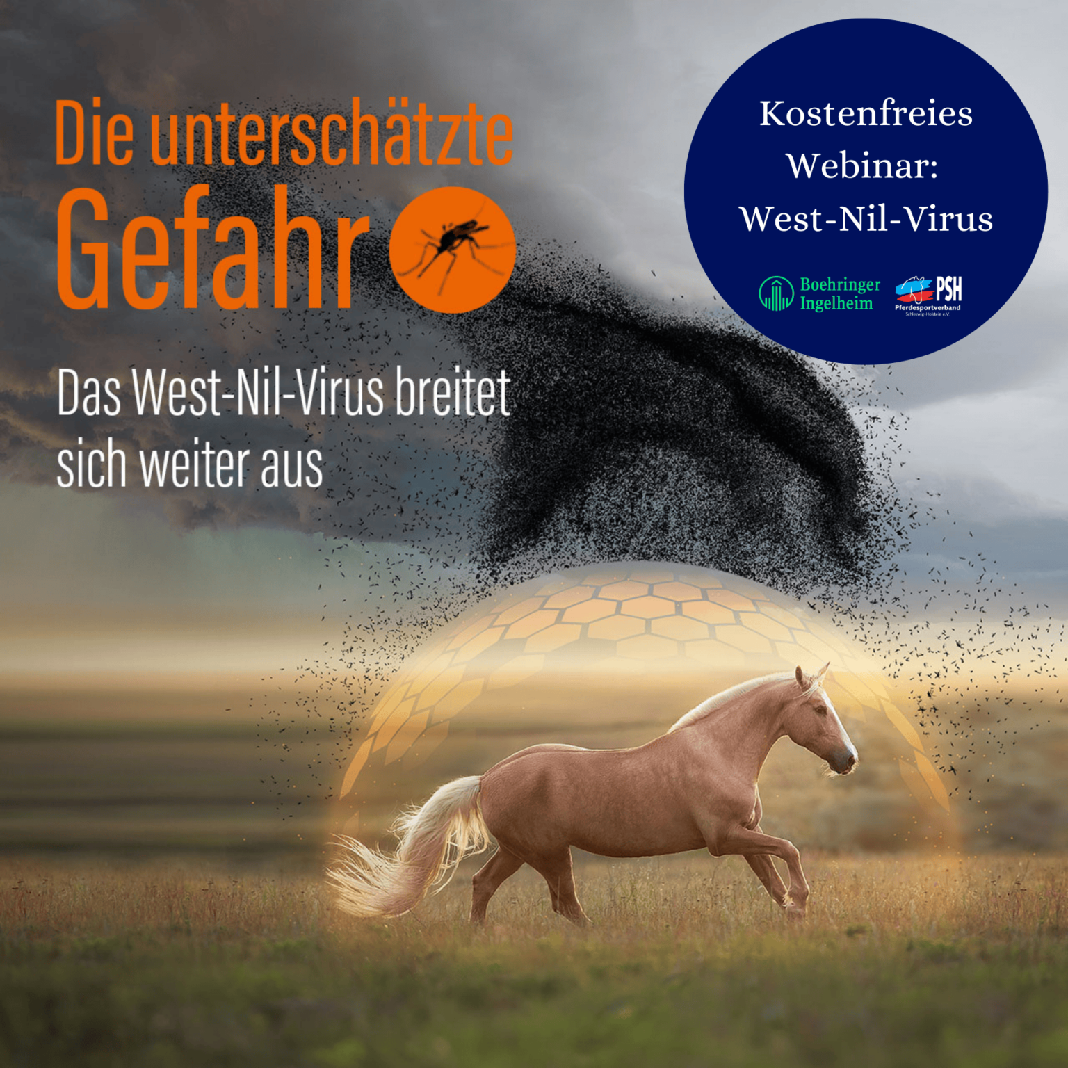 west nil virus gebiete karte