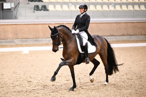 Fleur 1_(c) Trakehner Gestüt Murtal