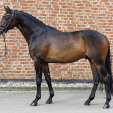 Lancelot_1223-001-059