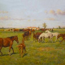 02_Gemischtfarbige Stutenherde im Vorwerk Bajohrgallen_Kopie von R. Wagner nach G.Koch_1960_c_OL