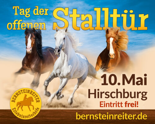 01_Grafik_TdoSt-Digitalplakat-5×4