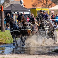 IMG_0693