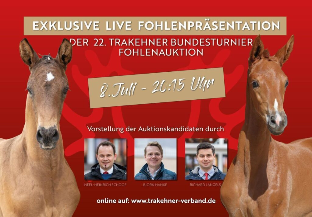 Kachel ankündigung