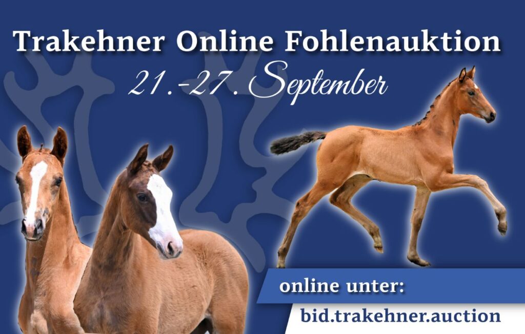 Online FOhlen 26