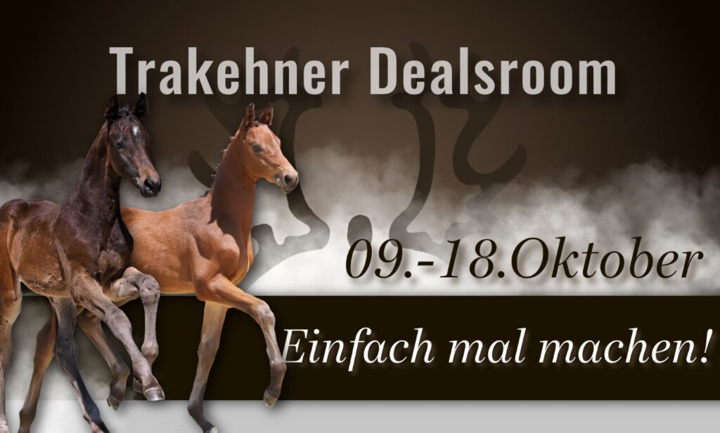 Dealsroom Fohlen-17(1)